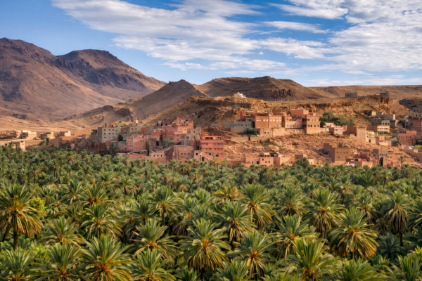 Kasbah & Sahara Desert Experience – 7-Day Journey from Marrakech