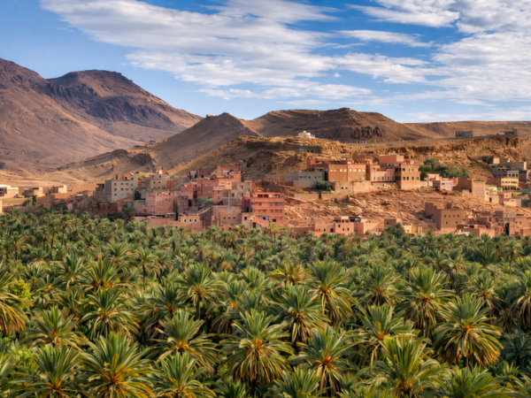 Kasbah & Sahara Desert Experience – 7-Day Journey from Marrakech